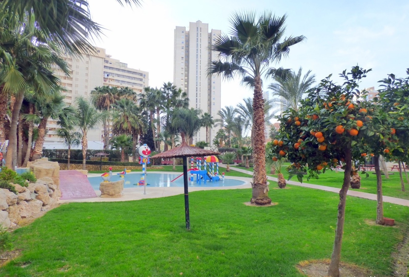 Reventa - Apartamento / piso - Benidorm - Centro