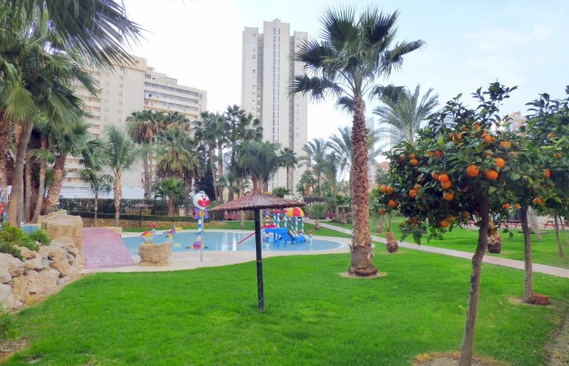 Reventa - Apartamento / piso - Benidorm - Centro