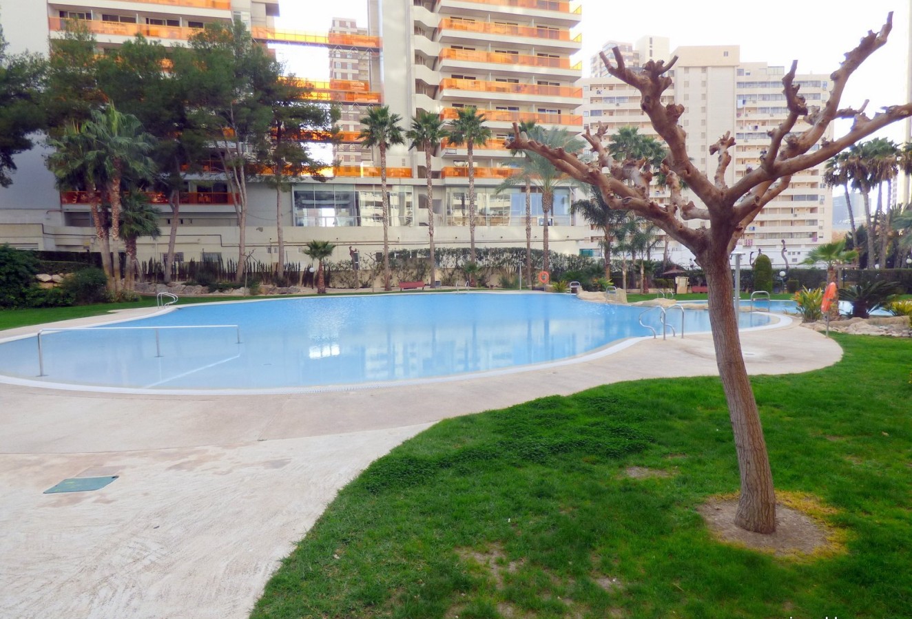 Reventa - Apartamento / piso - Benidorm - Centro