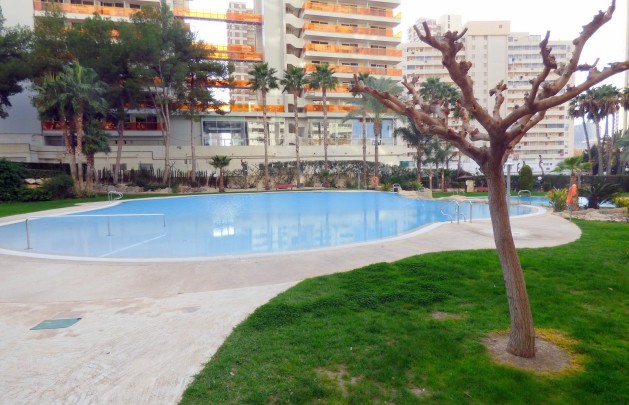 Reventa - Apartamento / piso - Benidorm - Centro