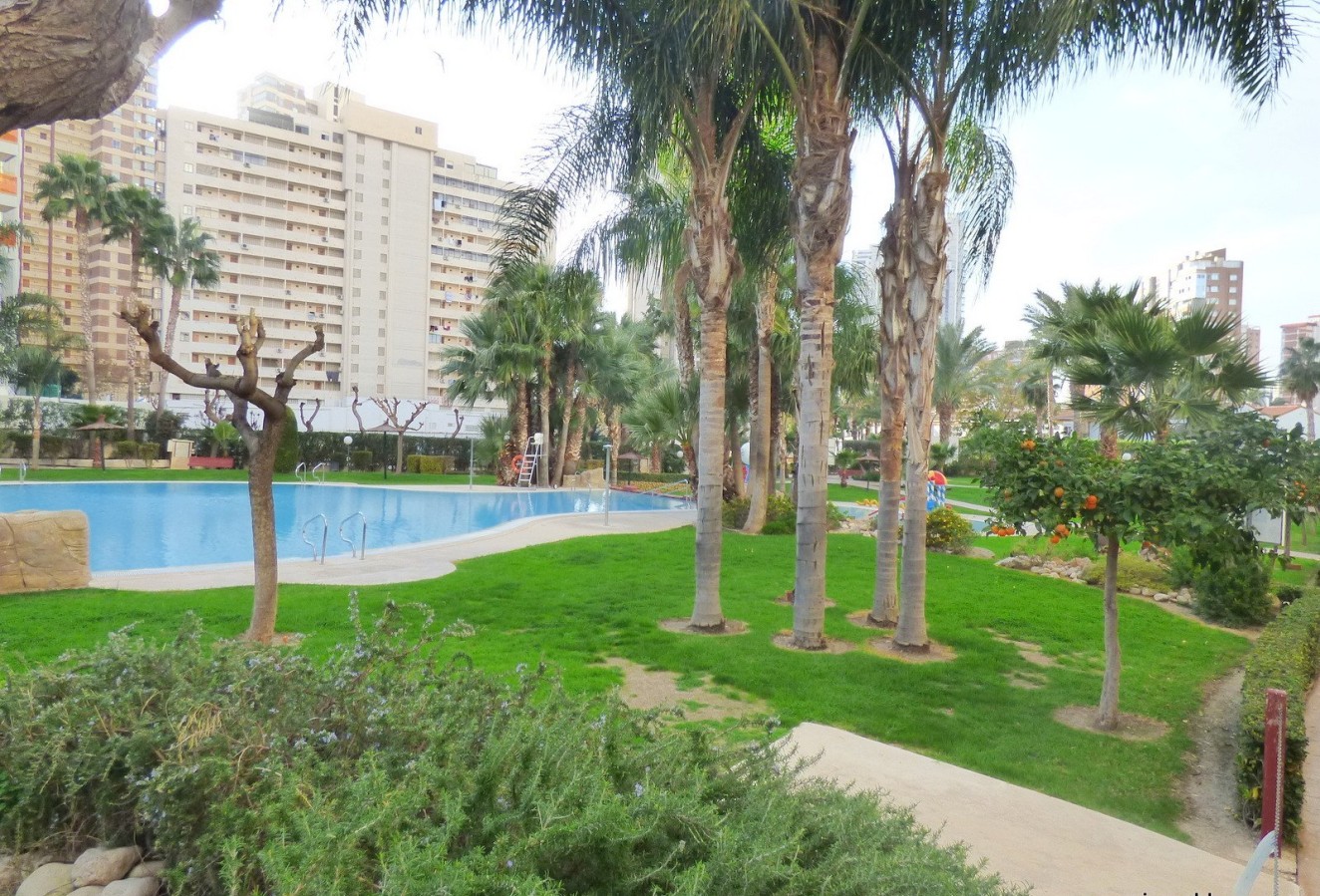 Reventa - Apartamento / piso - Benidorm - Centro
