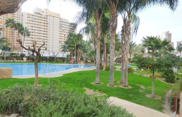 Reventa - Apartamento / piso - Benidorm - Centro