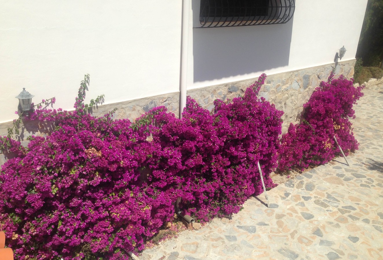 Venta - Villa - Bolulla