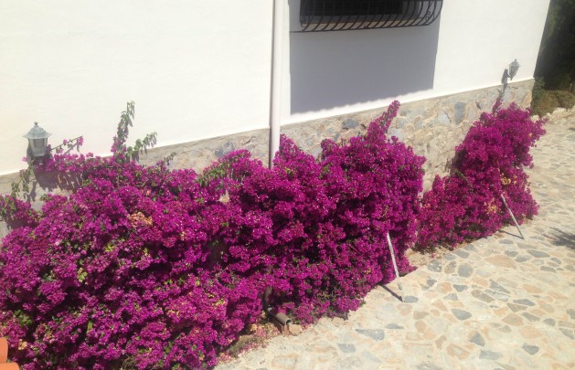 Venta - Villa - Bolulla
