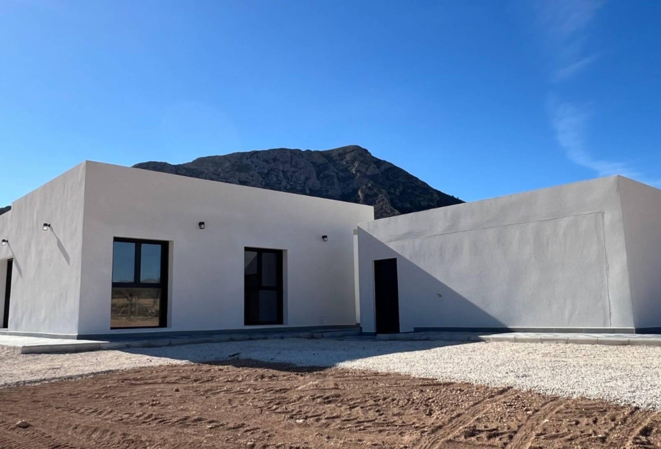 Obra nueva - detached - La Canalosa
