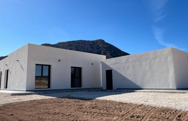 Obra nueva - detached - La Canalosa