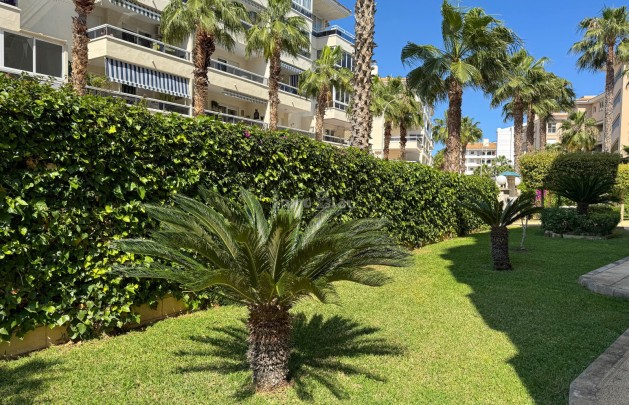 Alquiler a corto plazo - Apartamento / piso - Albir - Centro