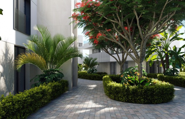 Obra nueva - apartment - Torre-Pacheco