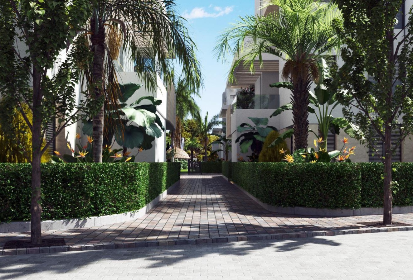 Nieuwbouw Woningen - ground-floor - Torre-Pacheco