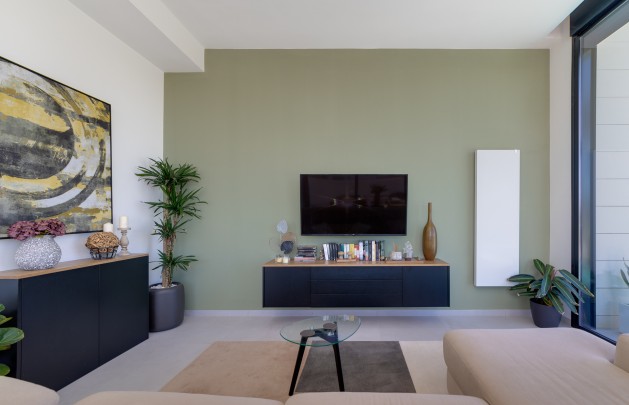 Obra nueva - detached - Pilar de la Horadada