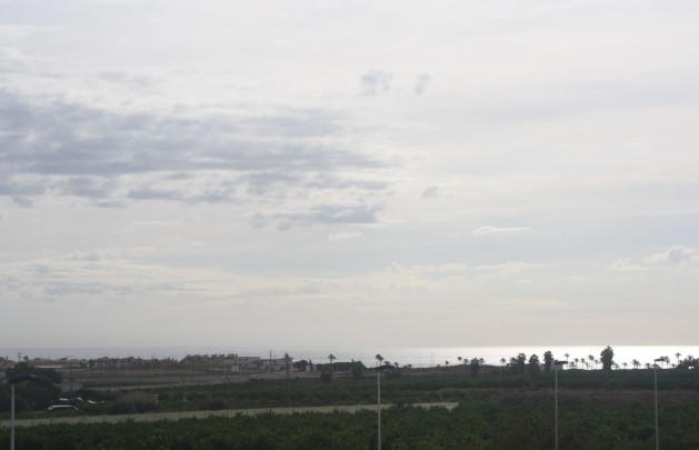 Obra nueva - terraced - Torrevieja
