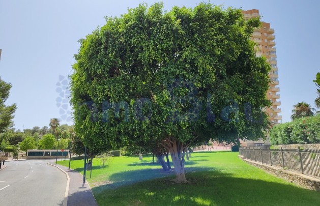 Sale - Apartment / flat - Benidorm - Zona de Poniente