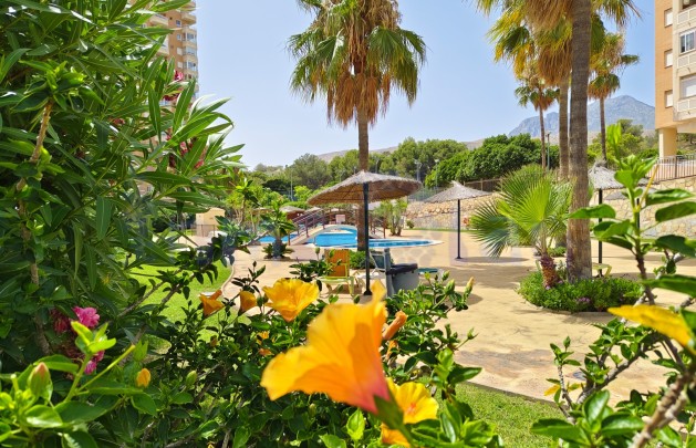 Sale - Apartment / flat - Benidorm - Zona de Poniente