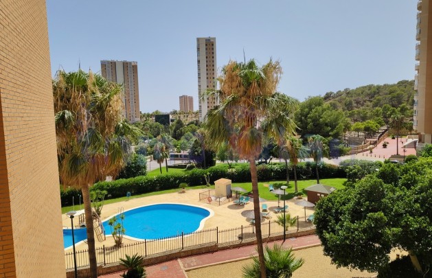 Sale - Apartment / flat - Benidorm - Zona de Poniente