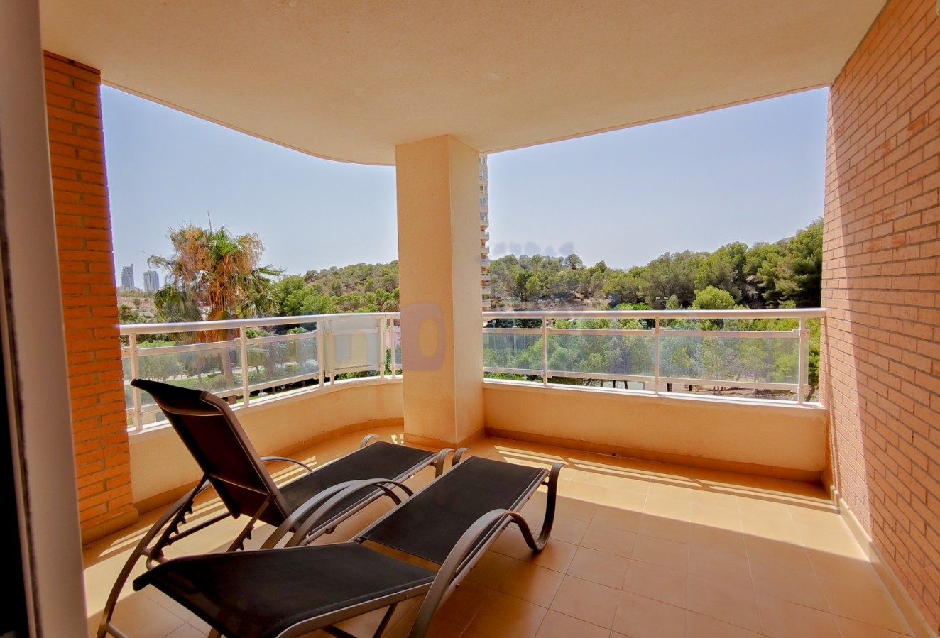 Sale - Apartment / flat - Benidorm - Zona de Poniente