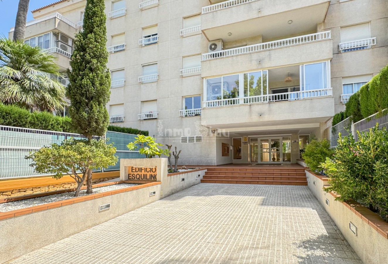 Venta - Apartamento / piso - Albir