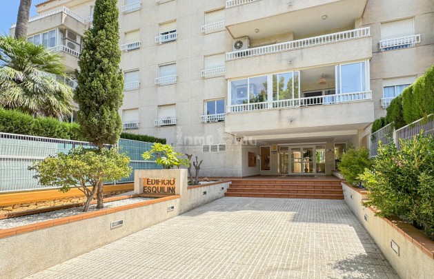 Venta - Apartamento / piso - Albir