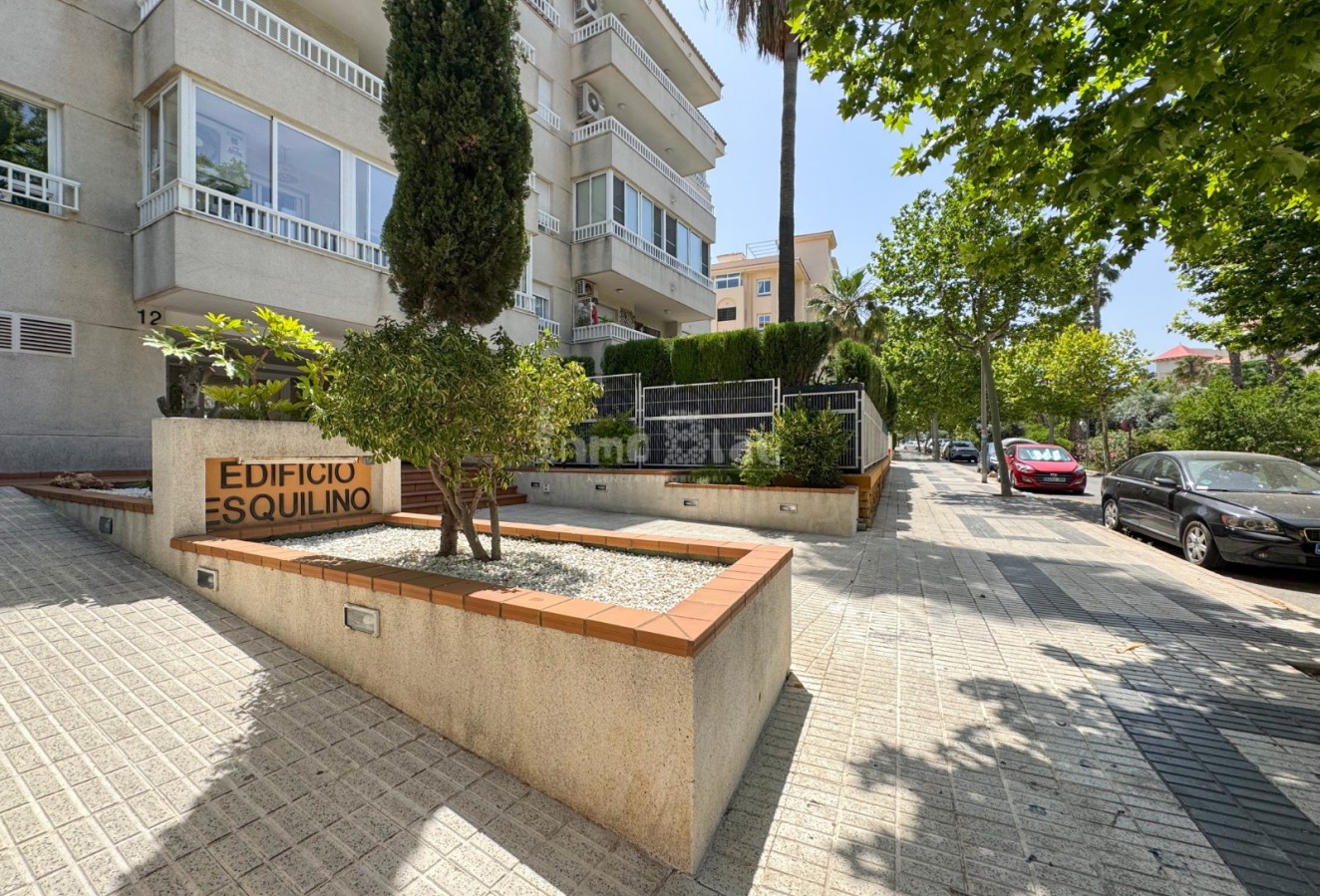 Venta - Apartamento / piso - Albir