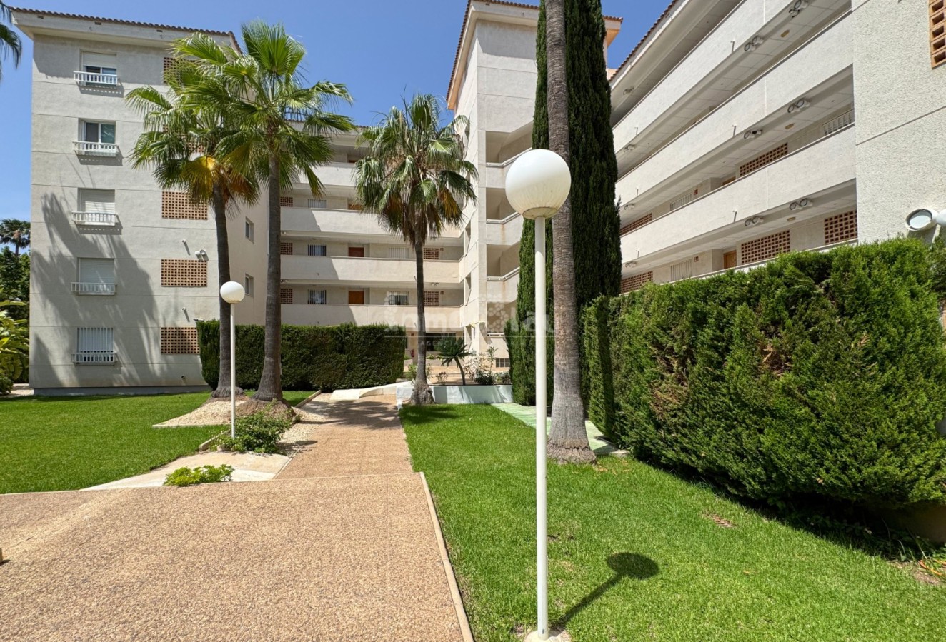 Venta - Apartamento / piso - Albir