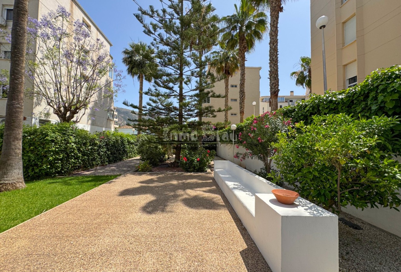 Venta - Apartamento / piso - Albir
