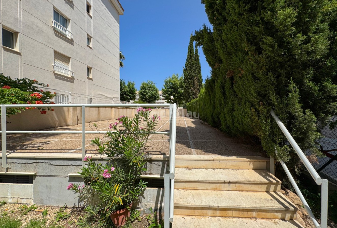 Venta - Apartamento / piso - Albir