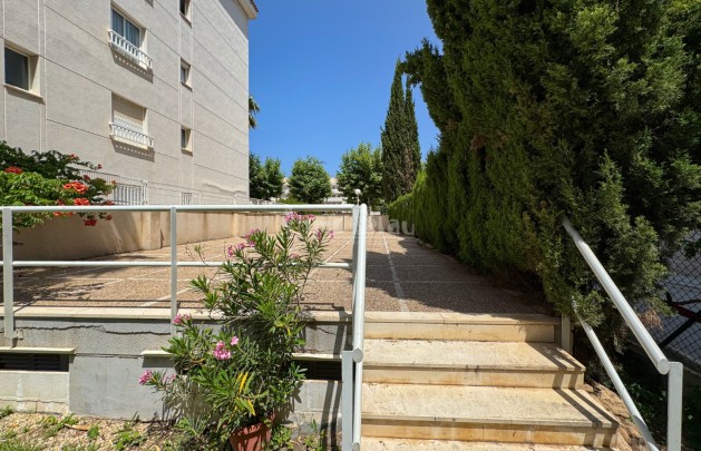 Venta - Apartamento / piso - Albir