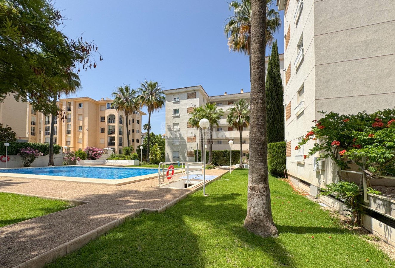 Venta - Apartamento / piso - Albir