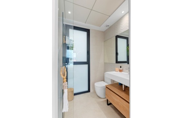 Obra nueva - terraced - Dolores