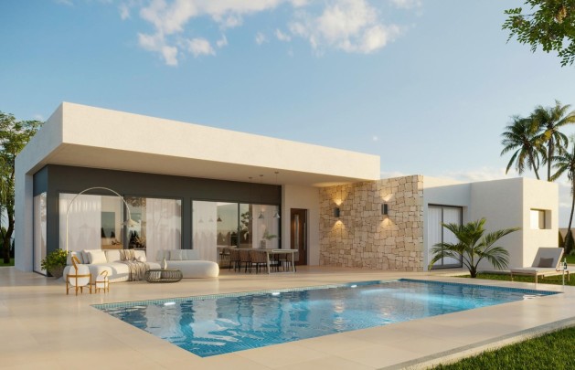 Obra nueva - detached - Aspe