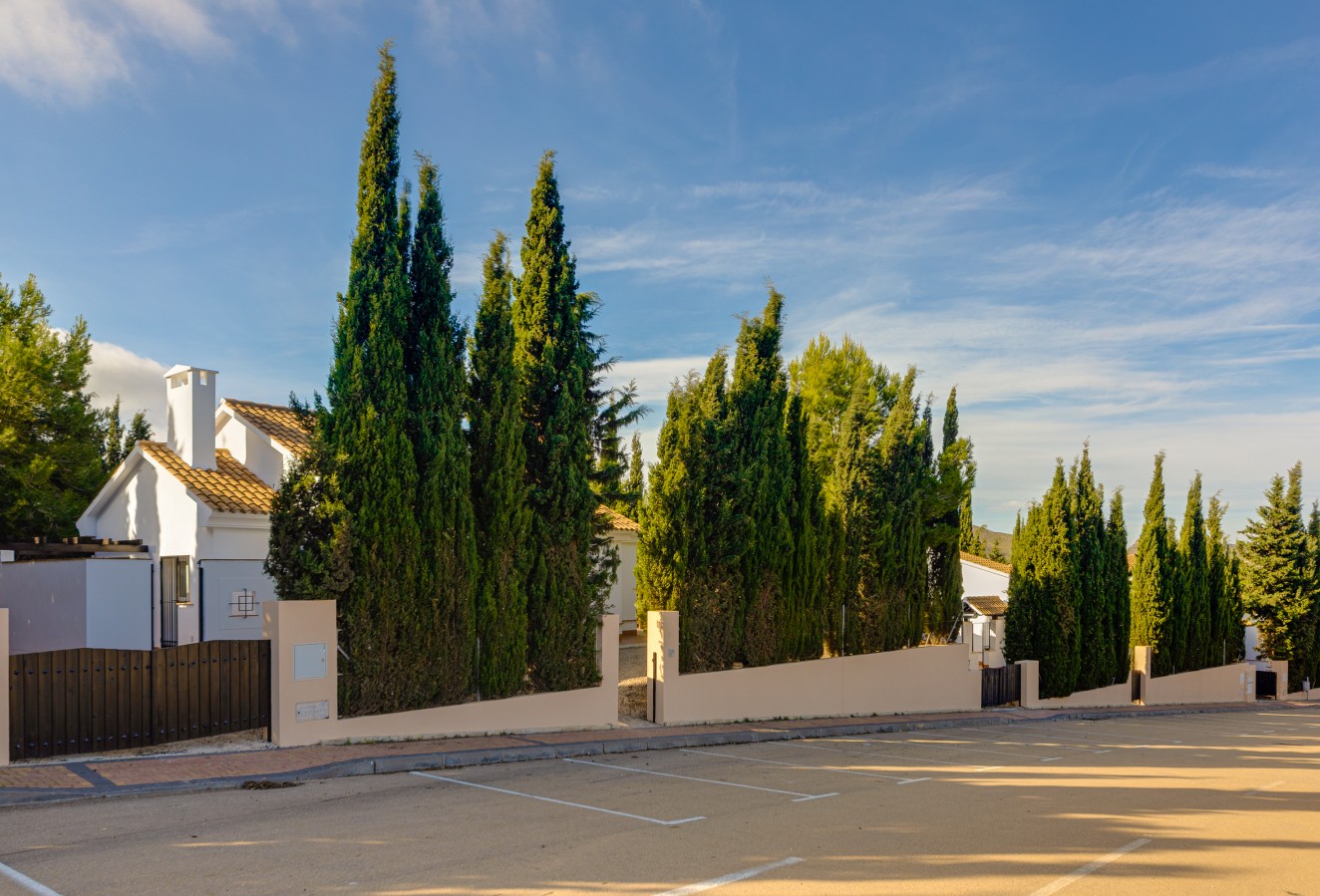 Nieuwbouw Woningen - detached - Fuente Alamo