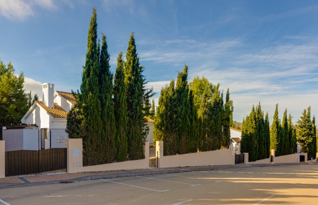 Nieuwbouw Woningen - detached - Fuente Alamo