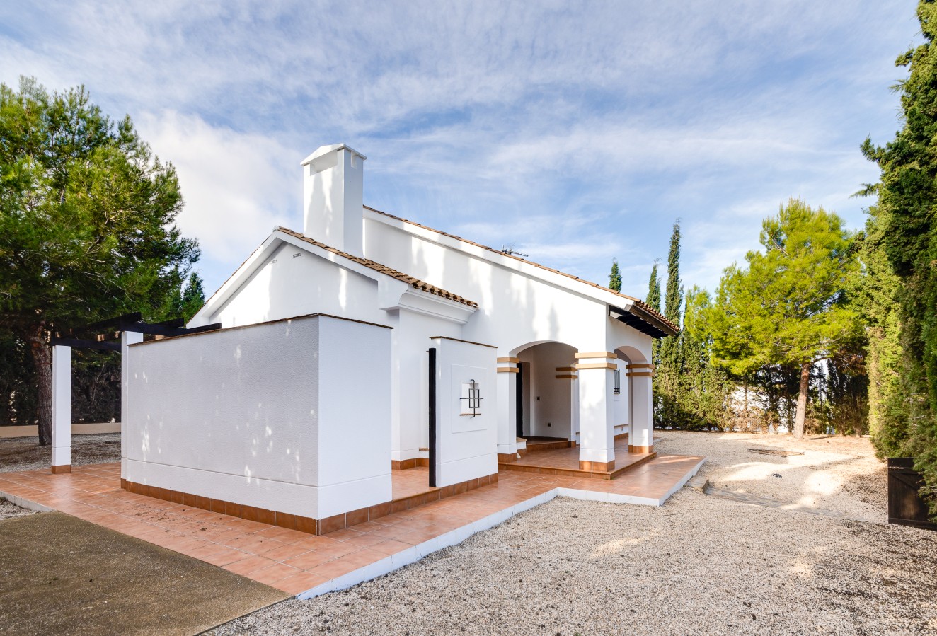 Nieuwbouw Woningen - detached - Fuente Alamo