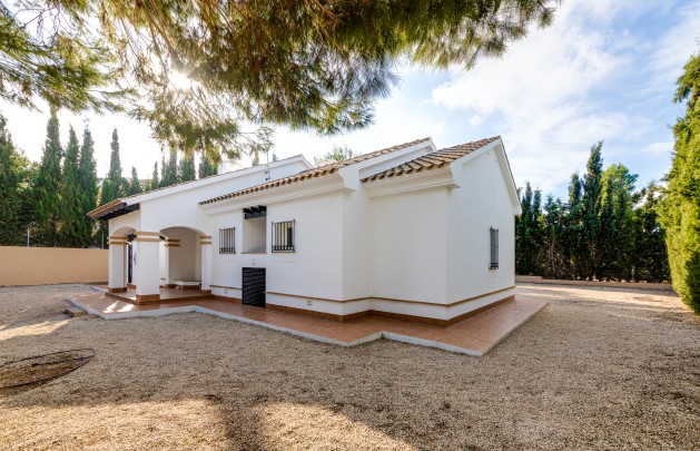 Nieuwbouw Woningen - detached - Fuente Alamo