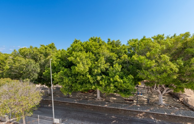 Obra nueva - detached - Pilar de la Horadada