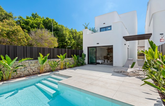 Obra nueva - detached - Pilar de la Horadada