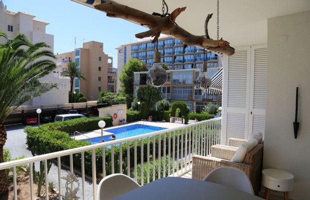 Short Term Rental - Apartment / flat - Albir