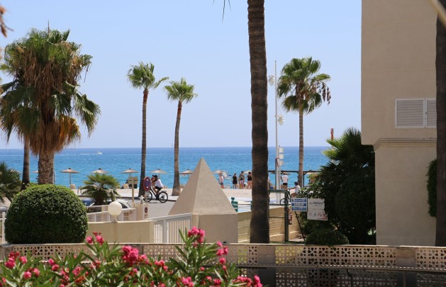 Short Term Rental - Apartment / flat - Albir