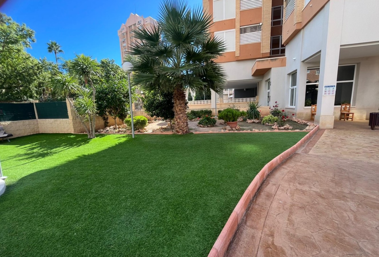 Long Term Rental - Apartment / flat - Benidorm - Levante