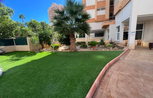 Long Term Rental - Apartment / flat - Benidorm - Levante