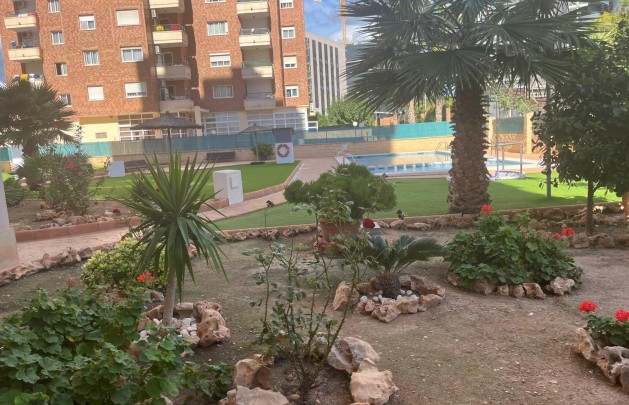 Long Term Rental - Apartment / flat - Benidorm - Levante
