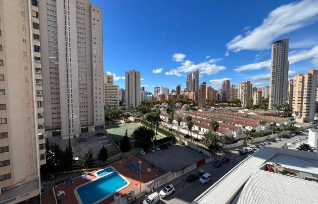 Long Term Rental - Apartment / flat - Benidorm - Levante
