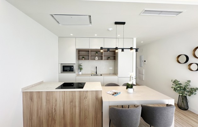 Obra nueva - detached - Torre de la Horadada