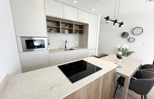 Obra nueva - detached - Torre de la Horadada