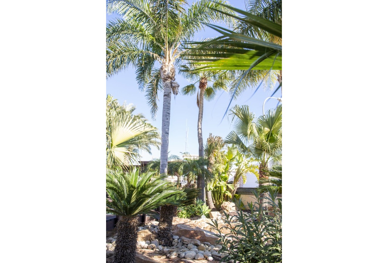 Nieuwbouw Woningen - Villa - San Pedro del Pinatar