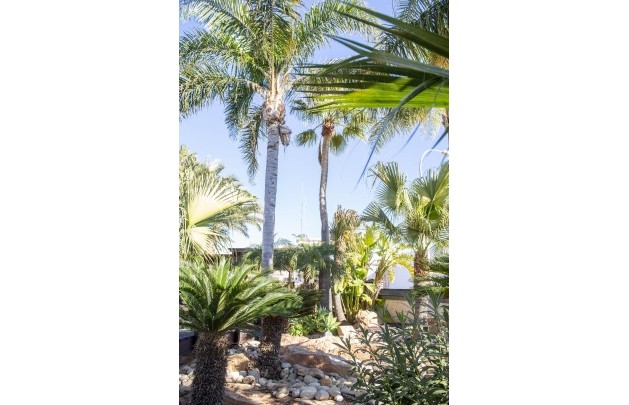 Nieuwbouw Woningen - Villa - San Pedro del Pinatar