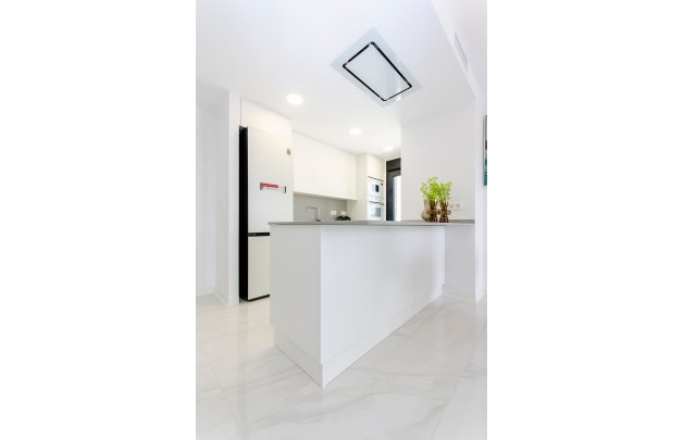 Obra nueva - detached - Orihuela Costa