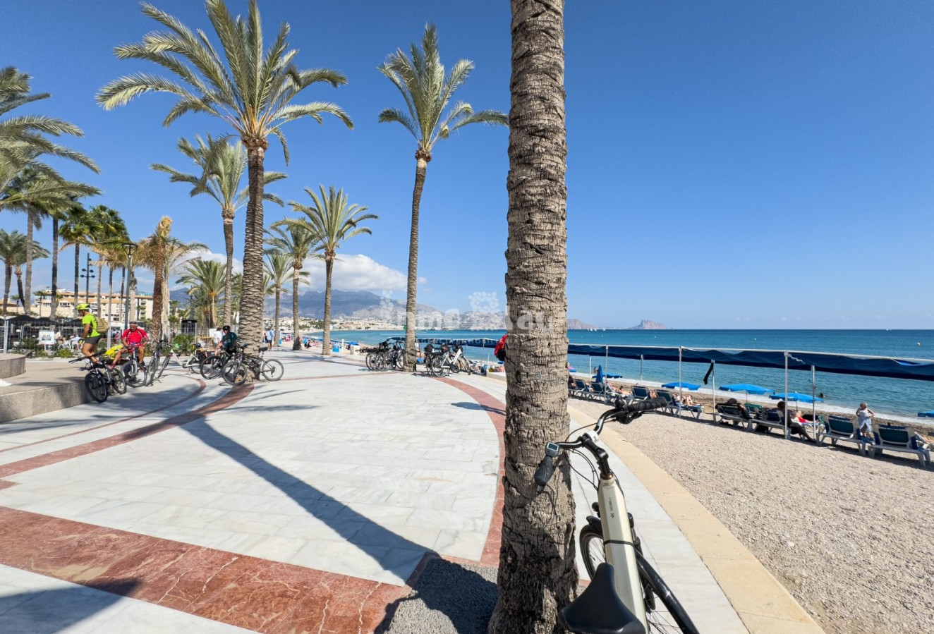 Short Term Rental - Apartment / flat - Albir