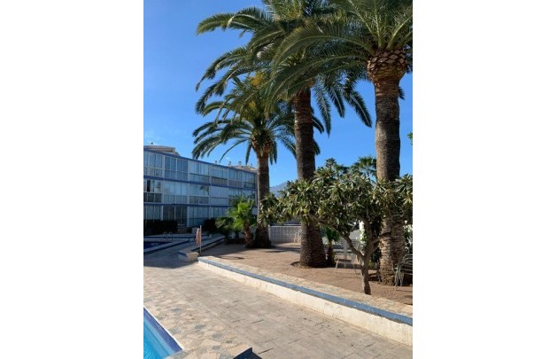 Short Term Rental - Apartment / flat - Albir - Playa