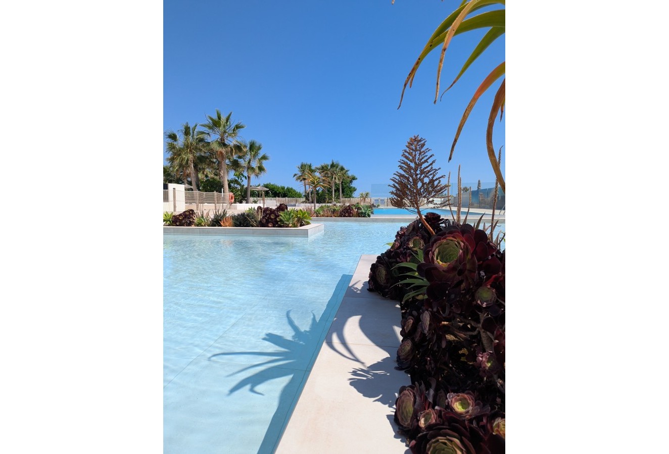 Obra nueva - apartment - Denia - Dénia