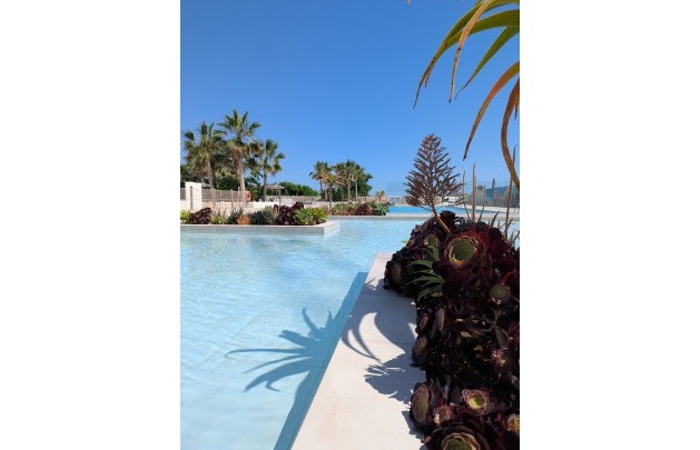 Obra nueva - apartment - Denia - Dénia